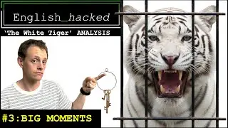 'The White Tiger' by Aravind Adiga _hacked (IEB literary analysis) PART 3: BIG MOMENTS