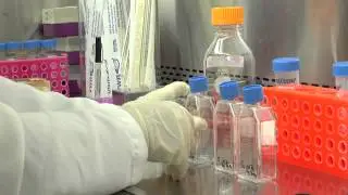 Cell Culture Basics 06: Labeling cell culture flasks
