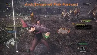 Arch Tempered Great Pink Parexus @ Ancient Forest (4)