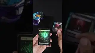 Opening a Wilds of Eldraine Collectors Booster #mtg #shorts #wildsofeldraine #magicthegathering