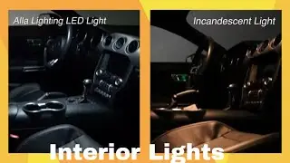 How to Change | Ford Mustang Interior Light Bulb w/LED Map/Vanity Lamp
