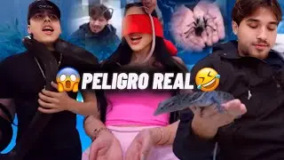 🦎🔥 CONVIVIMOS CON ANIMALES EXÓTICOS 😱 LONCHE, WILITO Y JAILYN OJEDA 🐍