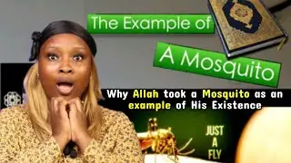 Why Allah took a Mosquito as an example of His Existence  --- (Wow! Makes You Think)