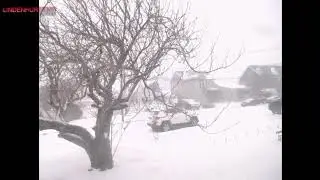 Snowstorm, Lindenhurst NY