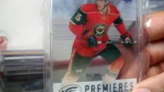 Hockey Card Collection (PC)