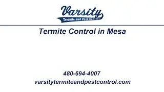 Termite Control in Mesa | Varsity Termite and Pest Control