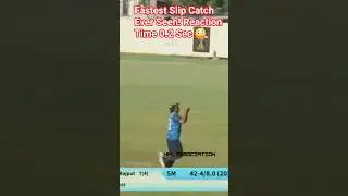 speed catch #SlipCatch#Fielding #CricketReflex #UnrealCatch #trending #shortsviral #ytshorts #sports