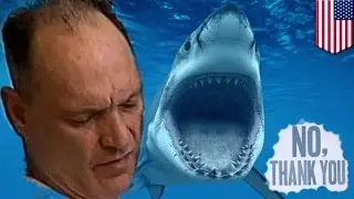 Shark swimmer: Boston man jumps into New England Aquarium shark tank