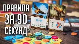 КАСКАДИЯ - ПРАВИЛА ИГРЫ ЗА 90 СЕКУНД!
