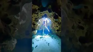 ✨ #underwater #underwatercave #freediver #freediving