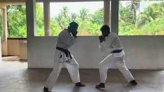 Traditional kumithe Trinning #karate #karatelife #martialarts #traditionalkarate 