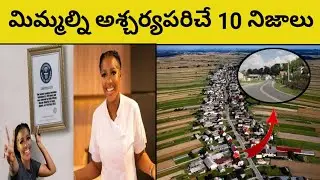 🔴Top 10 interesting facts About Pinland | Top 10 intrasting Facts| Telugu facts....