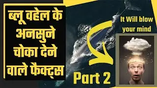 Blue Whale Facts : Part 2 | रहस्यमयी तथ्यों का खुलासा |#bluewhales #whaleconservation #facts