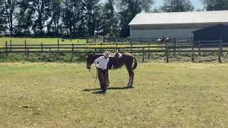 Ty demonstrates the simple &ldquo;Checklist&rdquo; at a clinic in Michigan