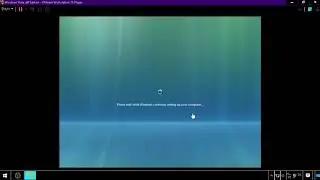 Windows Vista: An early operating system