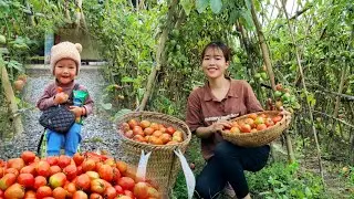 Boy selling tomatoes - Buying daily necessities, mother and child eat pho - Daily Freedom