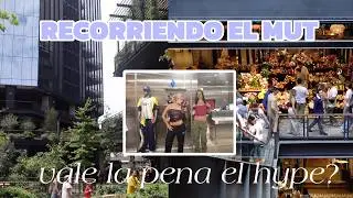 recorriendo el MUT: vale la pena el hype?