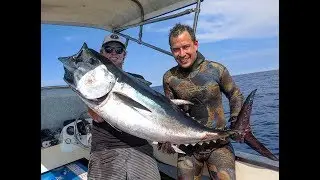 Spearfishing Sydney and swimming with a School of Rays, (Underwater Ally Adventures) Ep.23