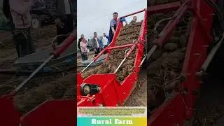 Modern Agricultural Harvester Automation: Multi-Purpose Harvester for Potatoes and Onions in Action