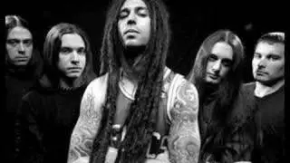 Shadows Fall - Final Call