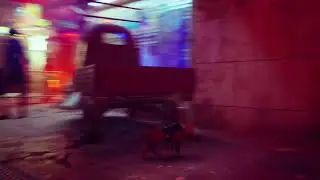 Live cosy STRAY