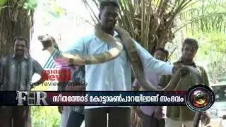 15 feet long King Cobra caught in Pathanamthitta