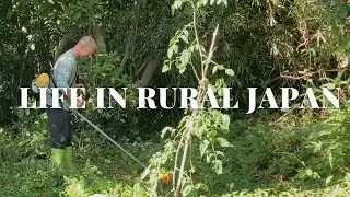 【VLOG】Japanese Island Life: Power Tools, Flying Ants, and Mystery Food!