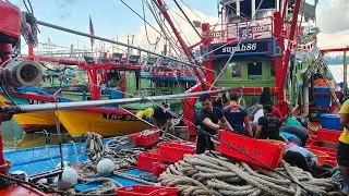 Suasana pendaratan hasil tangkapan di jeti LKIM Pulau Kambing