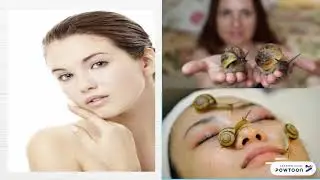 SNAIL FACIAL MASSAGE