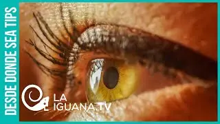 &iquest;Existe el inconsciente? Seg&uacute;n Sarte no y el ser humano es siempre responsable de todas sus acciones