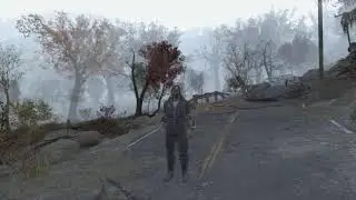 PS4. Fallout 76 Online  