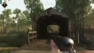 Hunt  Showdown on a GTX 1070 laptop in 2021 - How well does it run?