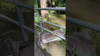 Moggill creek flood damage