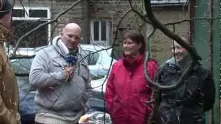 Cars crushed by toppled tree in Uppermill - Saddleworth News Edit