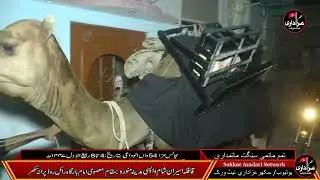 Alwida-E-Qafila Basilsila-E-Aserany Sham Syeda Bibi Zainab s.a.All Matmi Sangat Matamdari Old Sukkur