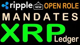 Мандат XRP от Ripple, альфа-версия сети Canton Network, столкновение с айсбергом и многое другое ...