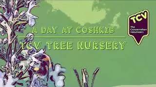 TCV's Tree Nursery in Northern ireland