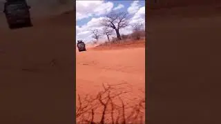 The lion (ukambani)#matatuculture #africancountries #nairobitiktokers #matatu2world  #kenya #world