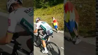 Peter Sagan tackling the Loze on stage 17 of the 2020 Tour de France