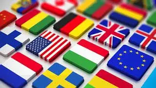 Professional Translation Services