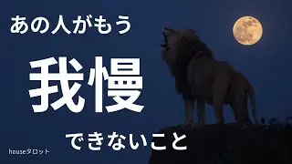 【待ったなし！】超えない崖🧗‍♂️ 同じ土俵に立てないなら、立たないだけ…