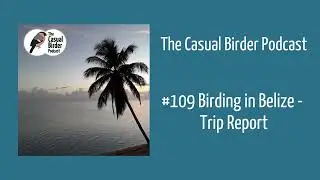 Birding in Belize - Trip report #109