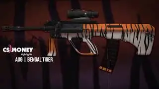 CS:GO | AUG - Bengal Tiger