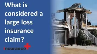 What is considered a large loss insurance claim?