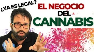 C&oacute;mo exportar Cannabis En Colombia ✅ | Explicaci&oacute;n de requisitos.