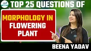 Top 25 Questions of Morphology in Flowering Plant  | NEET Botany | LIVE | Infinity Learn NEET