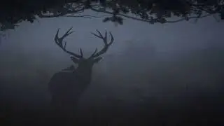 Gloomy Mix - Rain drop (Bambi - Little April Shower)