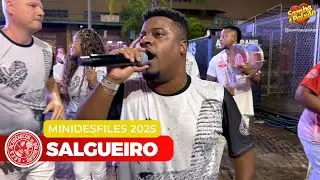 Salgueiro 2025 Ao Vivo | Minidesfiles Completo (4K)