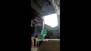 Daily routine | Ces Daily