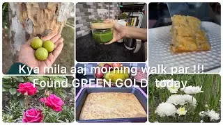 Aaj ki morning walk mein nature ne ek priceless gift diya :Amla, jise Green Gold bhi kehte hain 🌿 